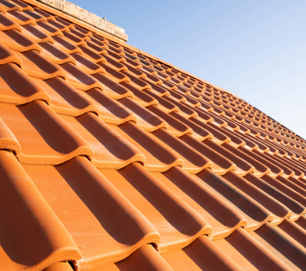 Roof Inspection